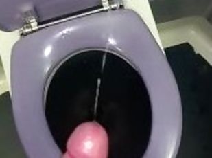 Toilet Wank